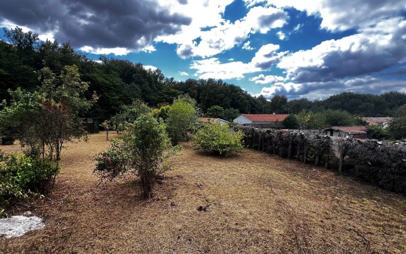 B162B401-50A3-AA01-C162-E7C806B23F52