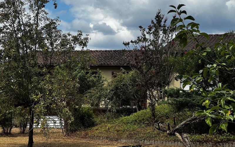 D3545158-0FC5-4F51-E526-BDF502E7BE5B