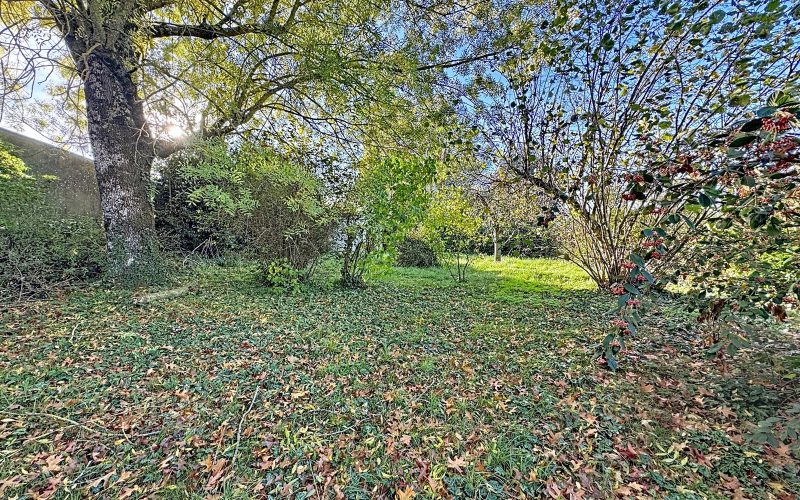 ac1be3e7-504c-487b-a334-5648c44d6062