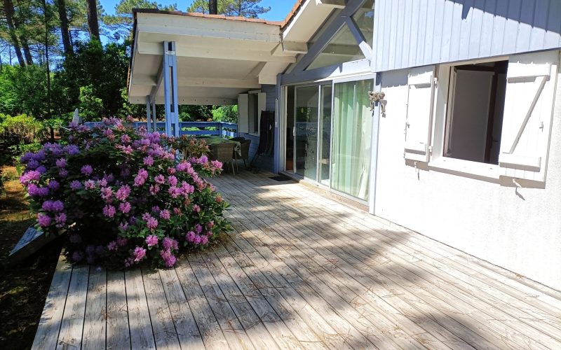 terrase avec fleurs